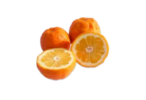 Arancio Amaro