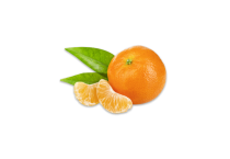 Mandarino