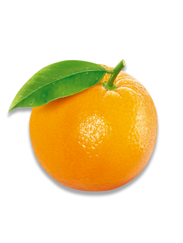 1 Kg
