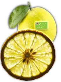 Fette di Bergamotto Essiccate BIO