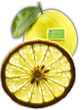 Fette di Bergamotto Essiccate BIO