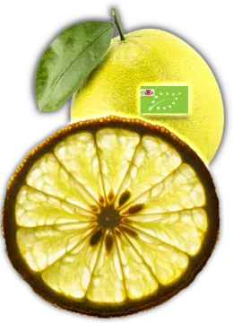 Fette di Bergamotto Essiccate BIO