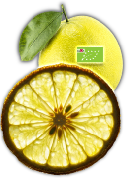 Fette di Bergamotto Congelate BIO