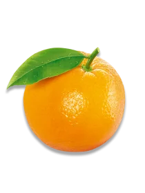 Frutti di Arancia BIO
