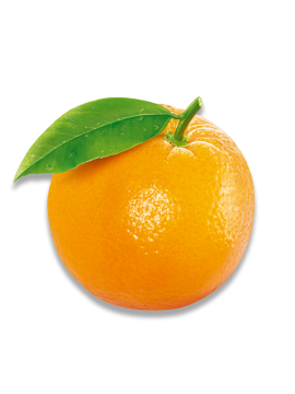 Frutti di Arancia BIO