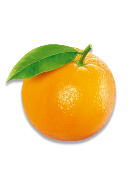 Frutti di Arancia BIO